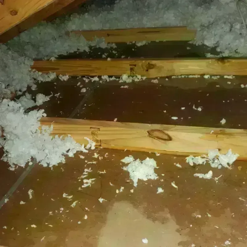 Attic Water Damage in Berlin, CT